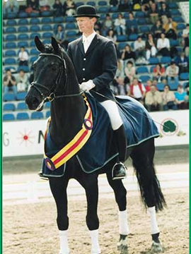 Katy Holder-Vale's Witcham House Farm Stud breeding Hanoverian stallions for dressage introduces Glücksfall / Flammengold.