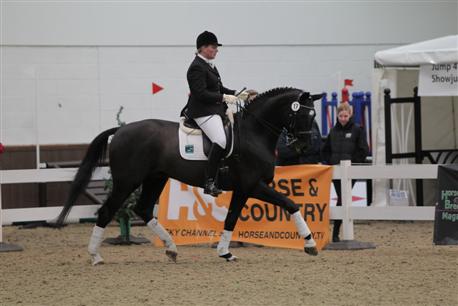 Katy Holder-Vale's Witcham House Farm Stud breeding Hanoverian stallions for dressage introduces Elroon.