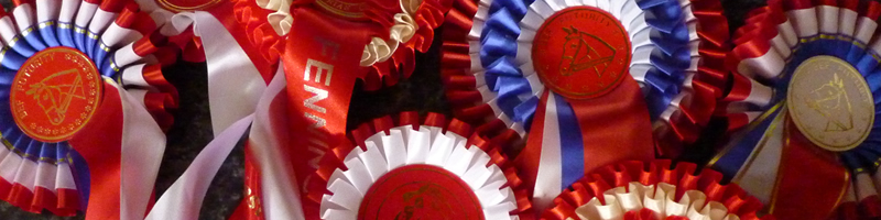 Katy Holder-Vale's Witcham House Farm Stud breeding Hanoverian stallions for dressage.