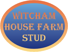 Witcham House Farm Stud's Homepage