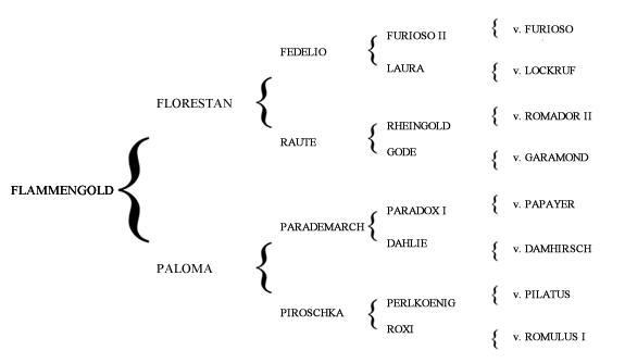 Katy Holder-Vale's Witcham House Farm Stud breeding Hanoverian stallions for dressage introduces Glücksfall / Flammengold.