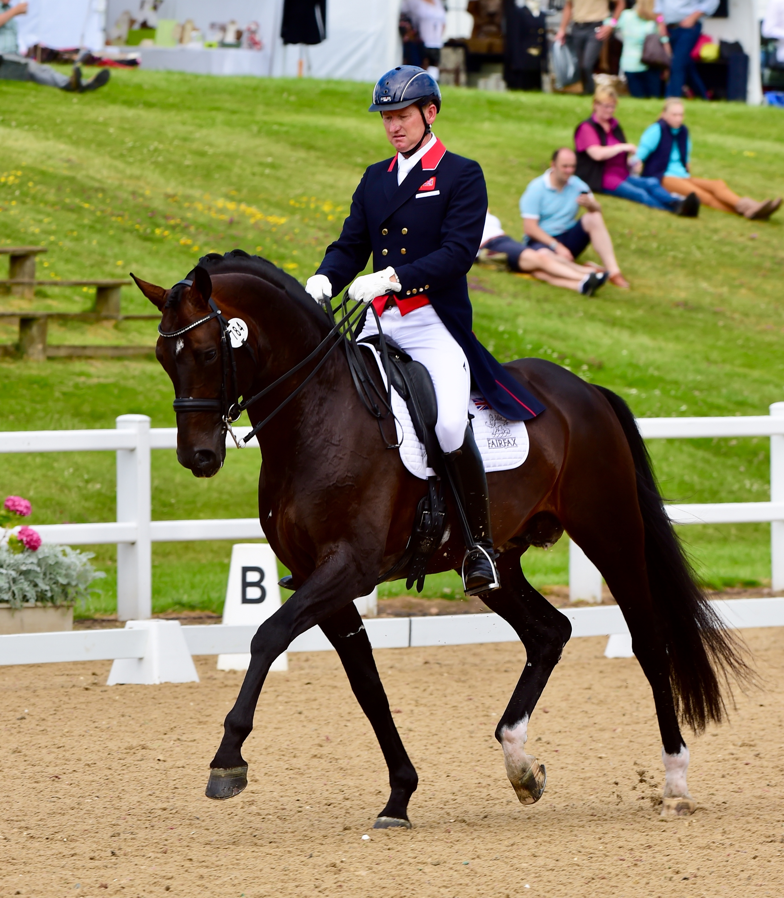 Katy Holder-Vale's Witcham House Farm Stud breeding Rhineland stallions for dressage introduces Samba Hit III.